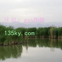 ָ